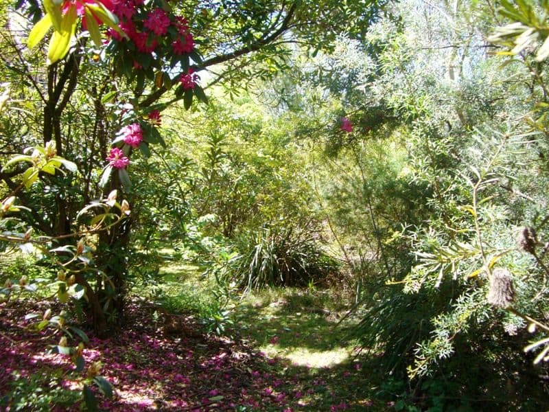 17 Letitia Street, KATOOMBA NSW 2780, Katoomba - Thumbnail 6