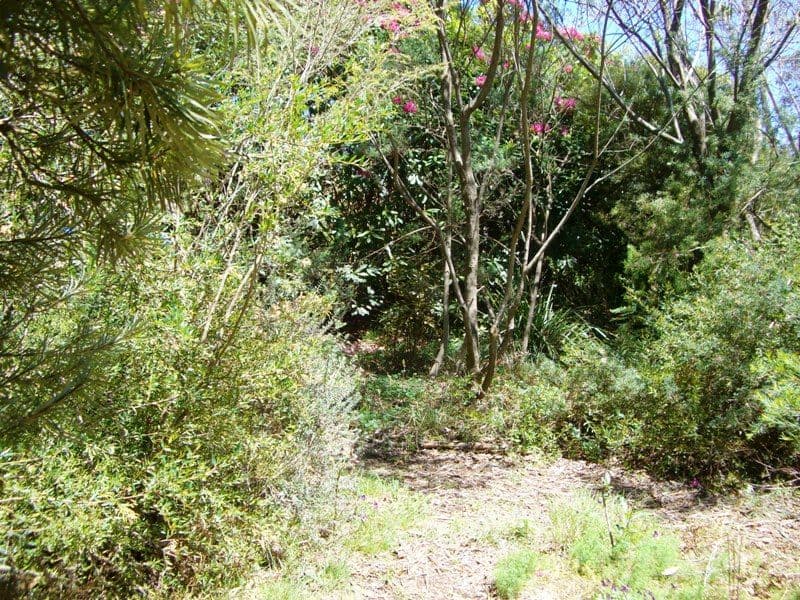 17 Letitia Street, KATOOMBA NSW 2780, Katoomba - Thumbnail 8