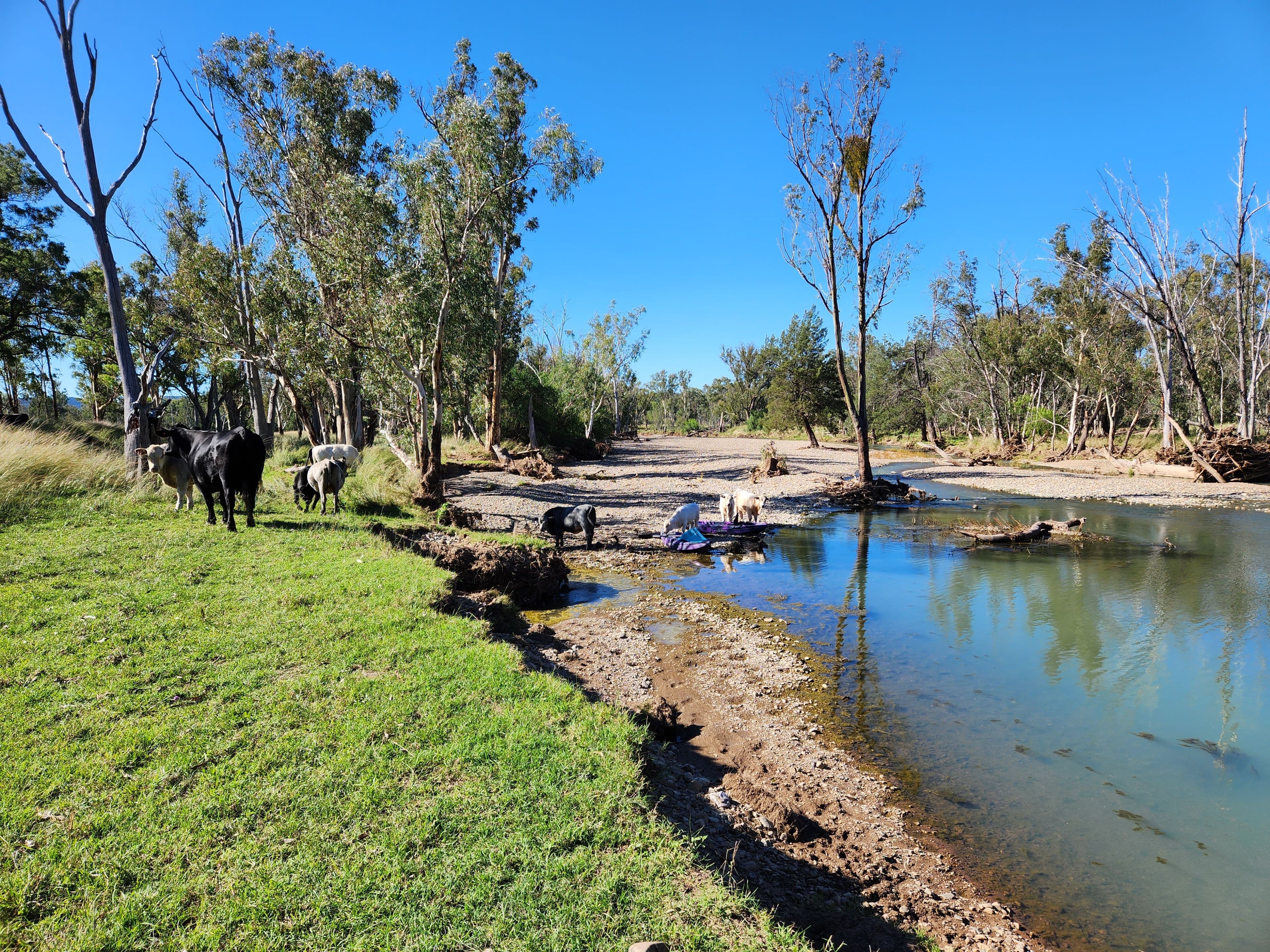 3626 Stanthorpe Inglewood Road, Warroo QLD 4387, Warroo - Thumbnail 7