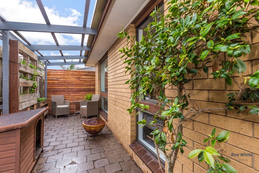 9 Roxby Street, Manifold Heights VIC 3218, Manifold Heights - Thumbnail 4