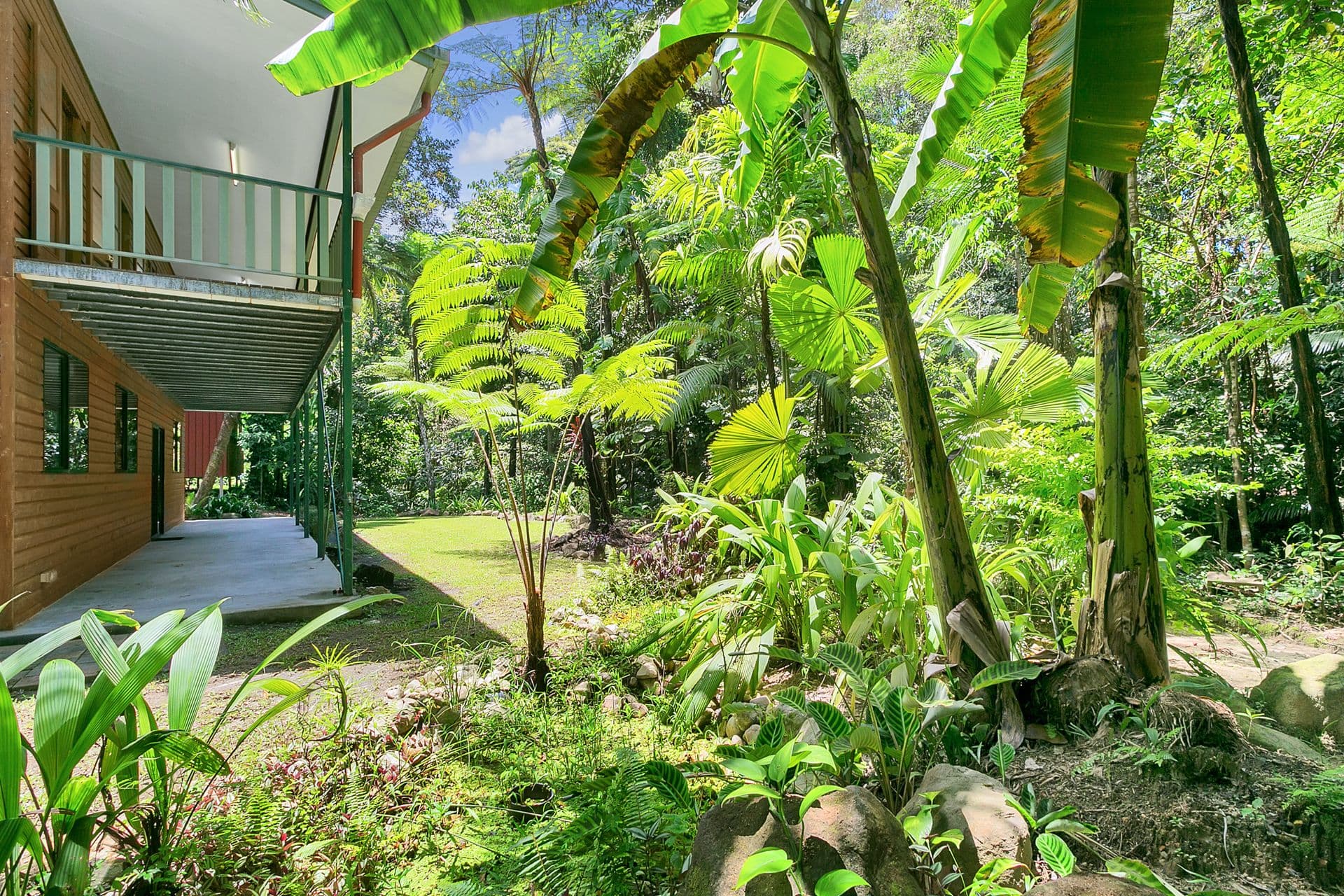 19 Kuranda Crescent, Kuranda QLD 4881, Kuranda - Thumbnail 6