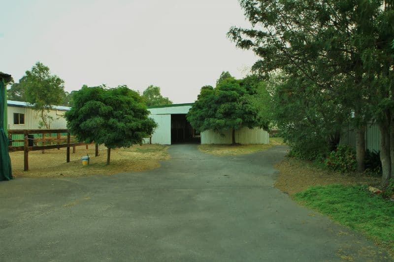 56 Heinz Street, EAST BENDIGO VIC 3550, East Bendigo - Thumbnail 3