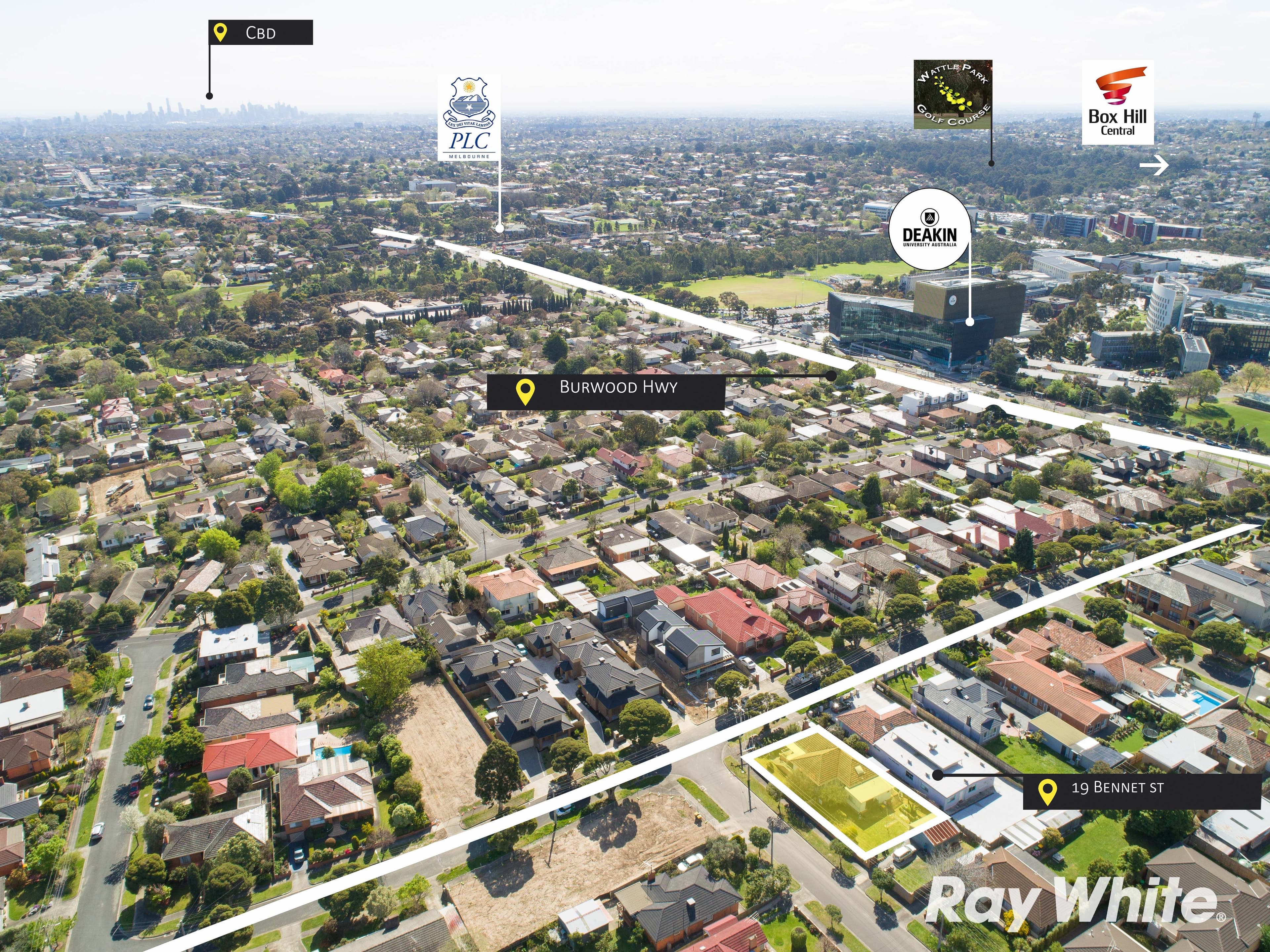 19 Bennett Street, Burwood VIC 3125, Burwood - Thumbnail 5
