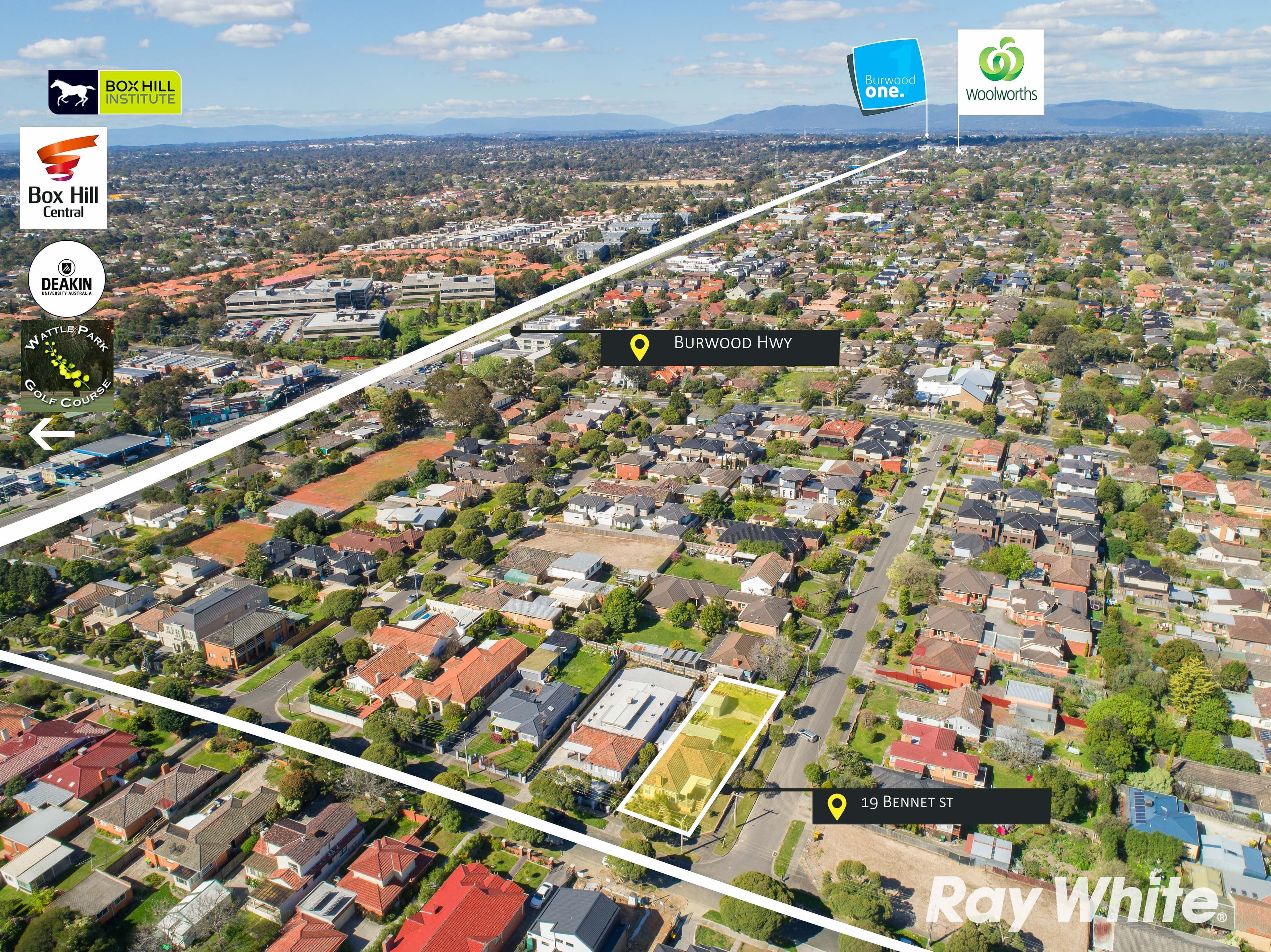19 Bennett Street, Burwood VIC 3125, Burwood - Thumbnail 6