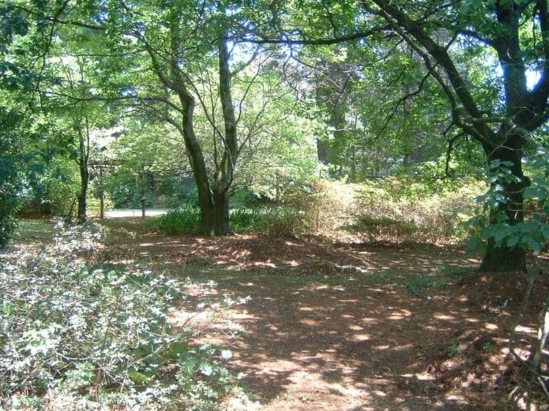 Lots 2 & 3 West Street, WENTWORTH FALLS NSW 2782, Wentworth Falls - Image 1