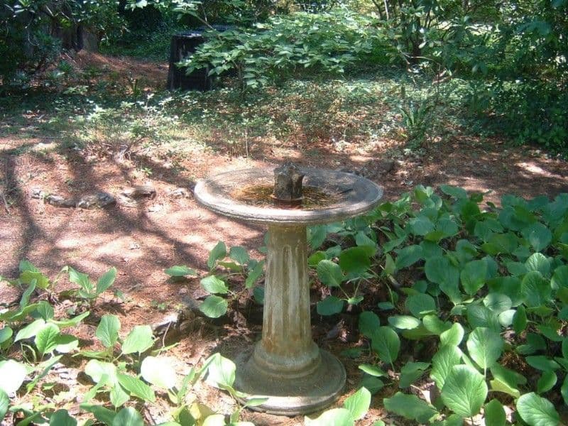 Lots 2 & 3 West Street, WENTWORTH FALLS NSW 2782, Wentworth Falls - Thumbnail 2