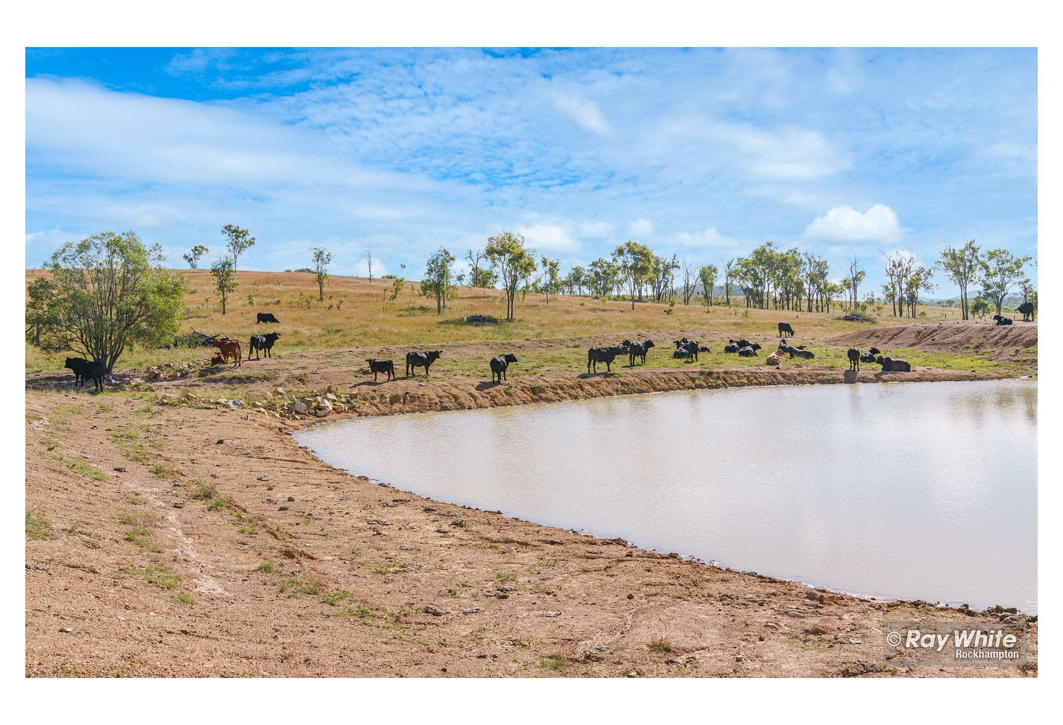 843 Artillery Road, Sandringham QLD 4701, Sandringham - Thumbnail 8