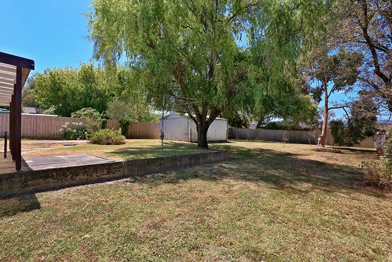 19 Maple Street, Bayswater VIC 3153, Bayswater - Thumbnail 3