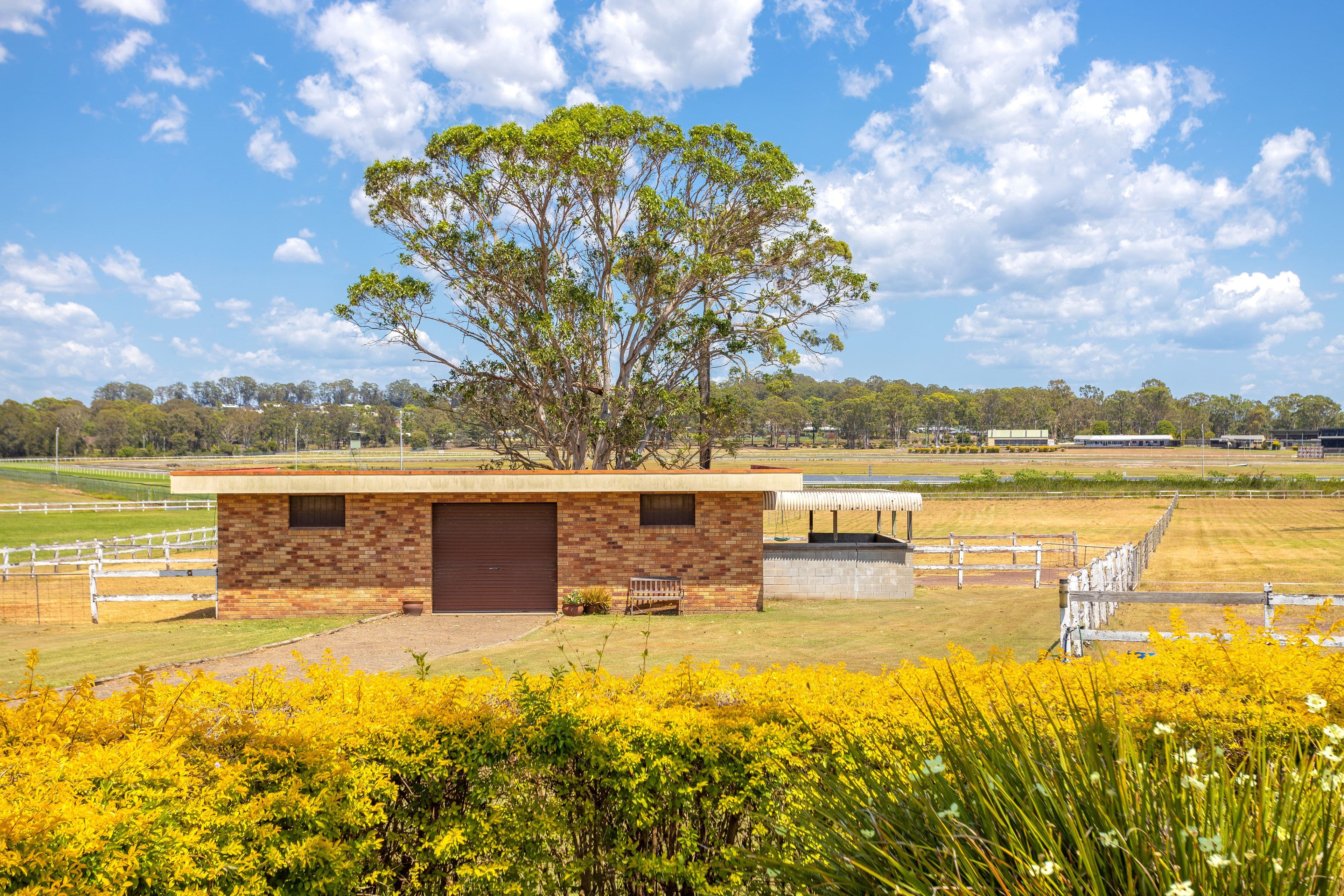 16 Kurrajong Crescent, Taree NSW 2430, Taree - Thumbnail 4