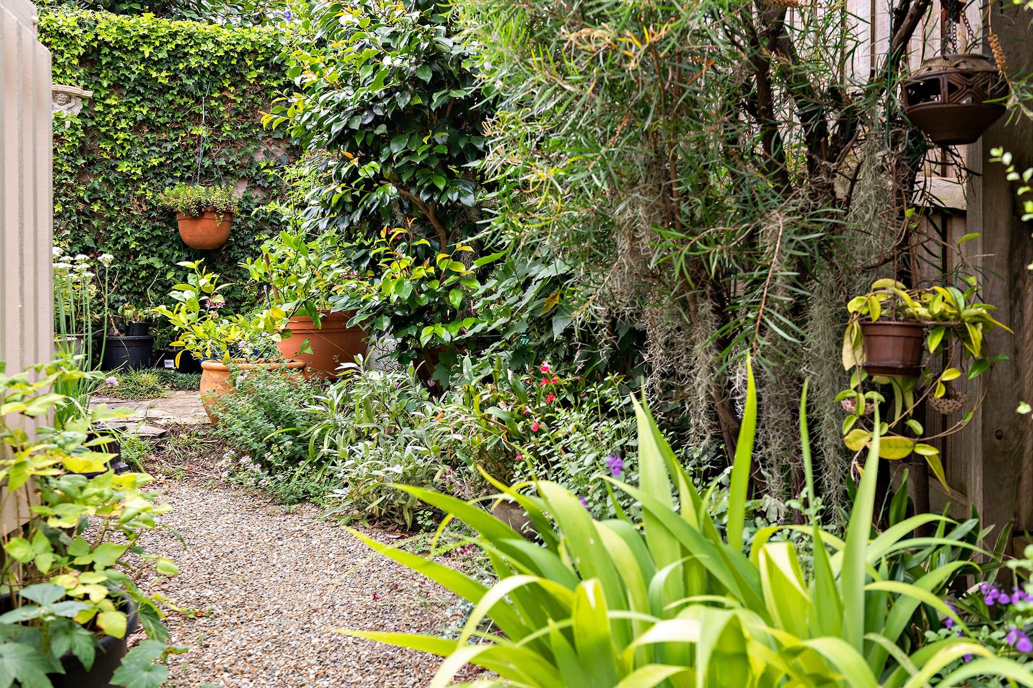 14 Meadow Crescent, Montmorency VIC 3094, Montmorency - Thumbnail 7