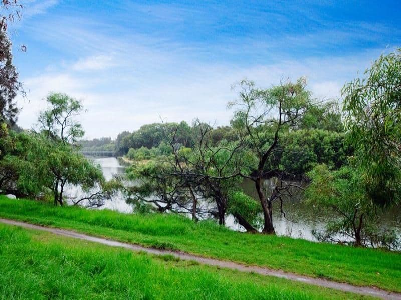 37 Permanent Avenue, EARLWOOD NSW 2206, Earlwood - Thumbnail 2