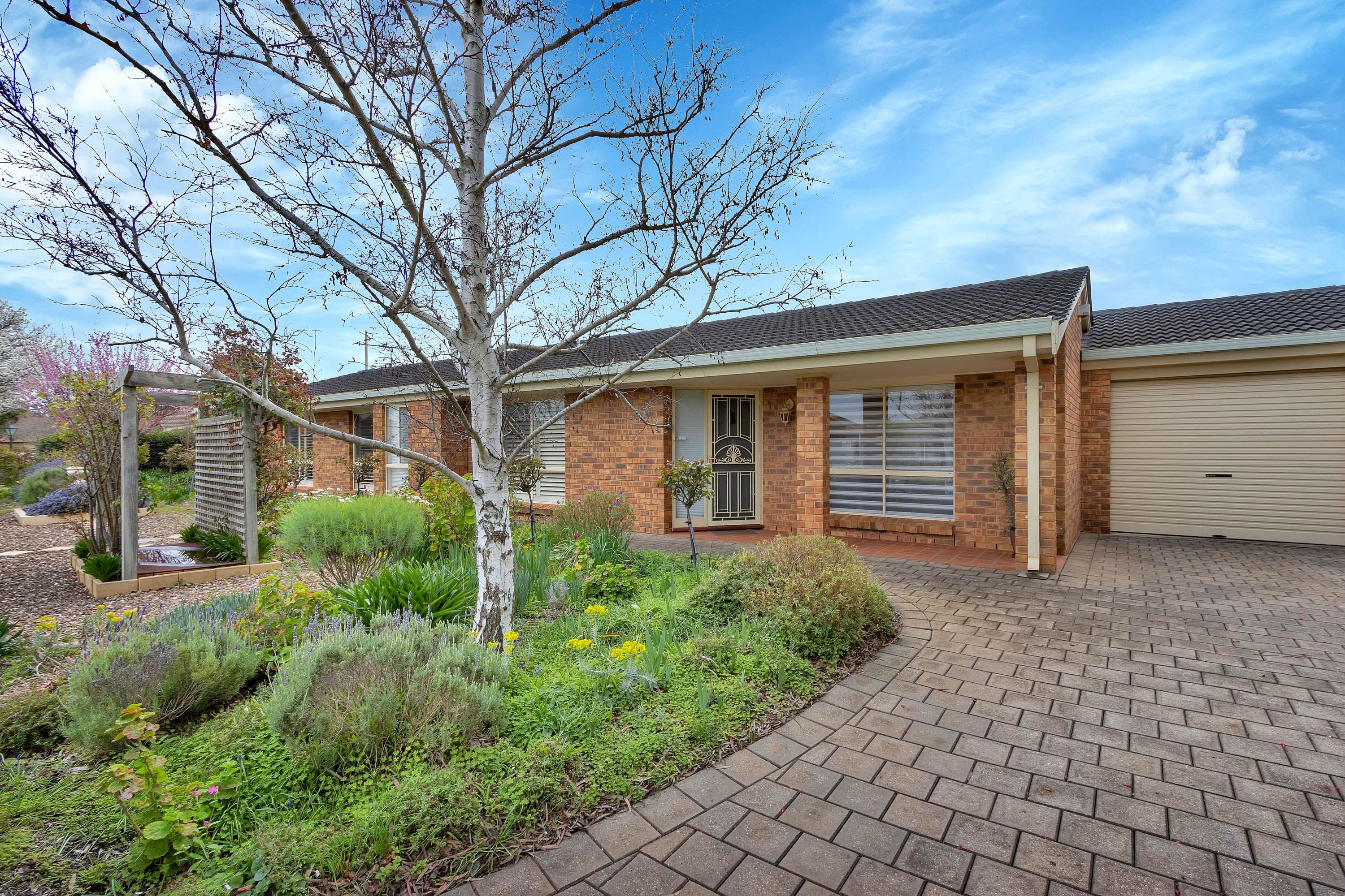 4 Blaxland Street, Nuriootpa SA 5355, Nuriootpa - Thumbnail 6