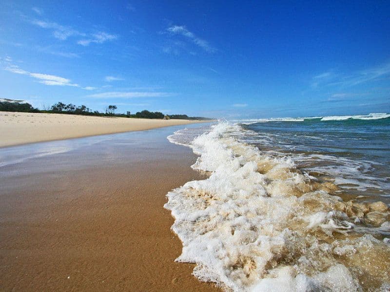 5 Fairy Bower Street, KINGSCLIFF NSW 2487, Kingscliff - Thumbnail 5
