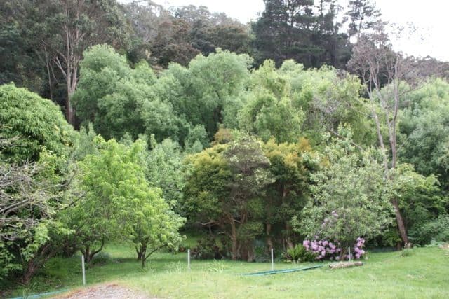 178 Waterworks Road, DYNNYRNE TAS 7005, Dynnyrne - Image 1