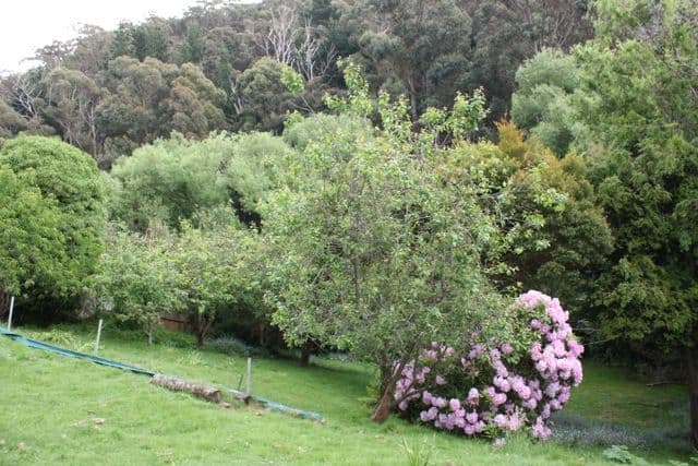178 Waterworks Road, DYNNYRNE TAS 7005, Dynnyrne - Thumbnail 2