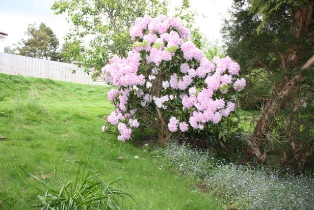 178 Waterworks Road, DYNNYRNE TAS 7005, Dynnyrne - Thumbnail 6
