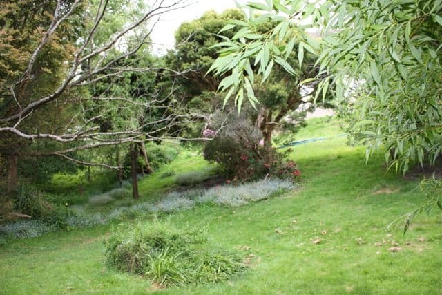 178 Waterworks Road, DYNNYRNE TAS 7005, Dynnyrne - Thumbnail 8