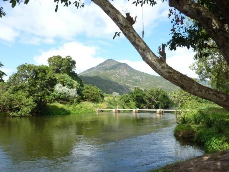 42 Griffin Street, GORDONVALE QLD 4865, Gordonvale - Thumbnail 3