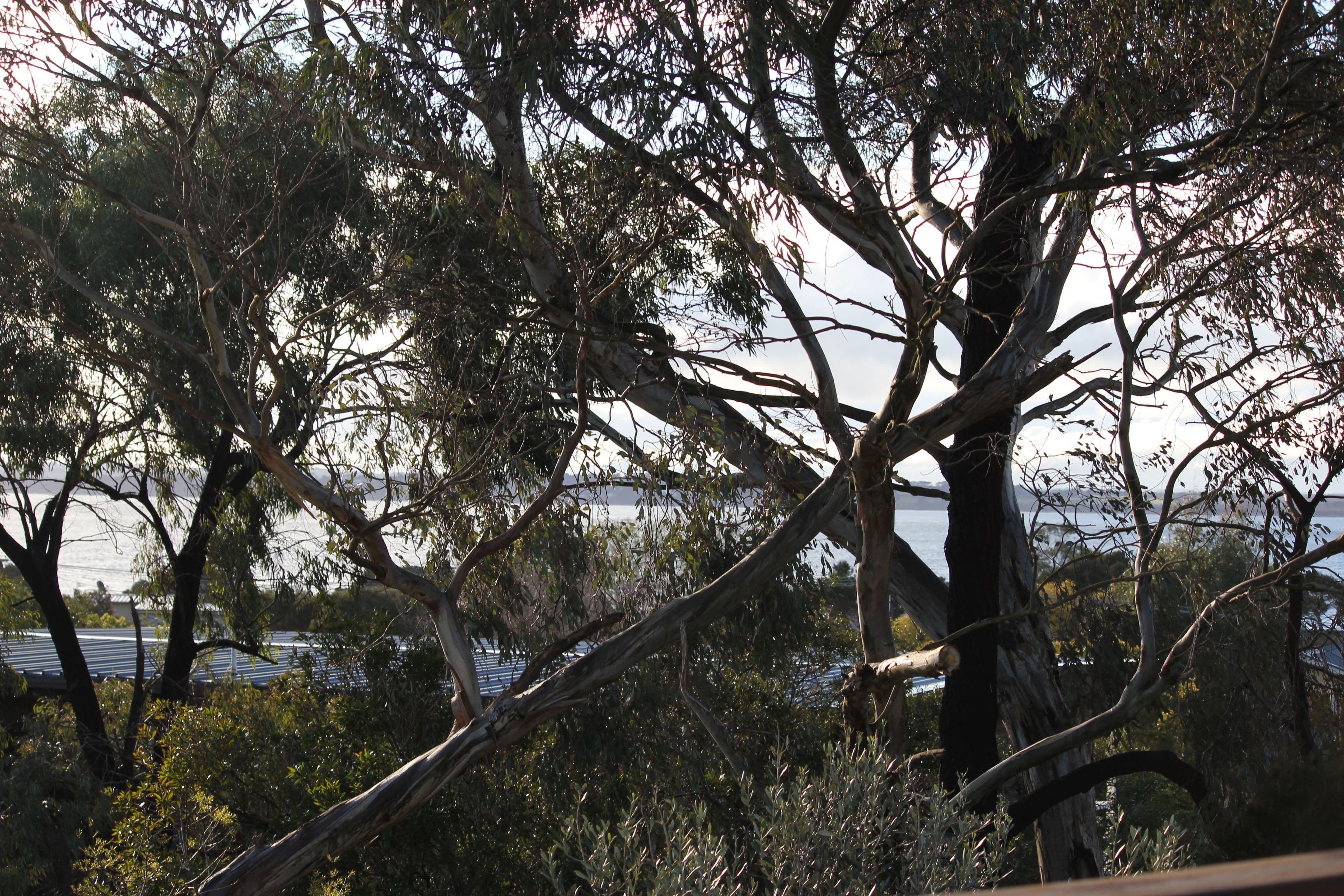 340 Church Street, Cowes VIC 3922, Cowes - Thumbnail 7