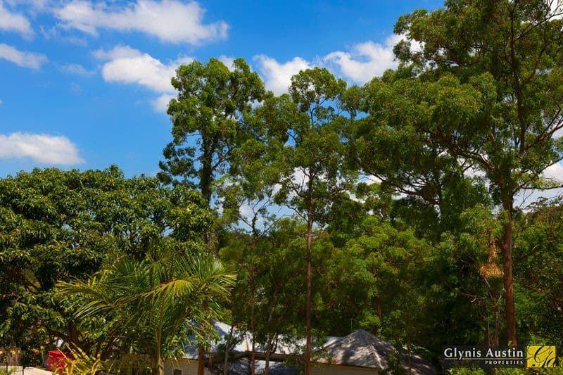 21 Vista Street, BARDON QLD 4065, Bardon - Thumbnail 4