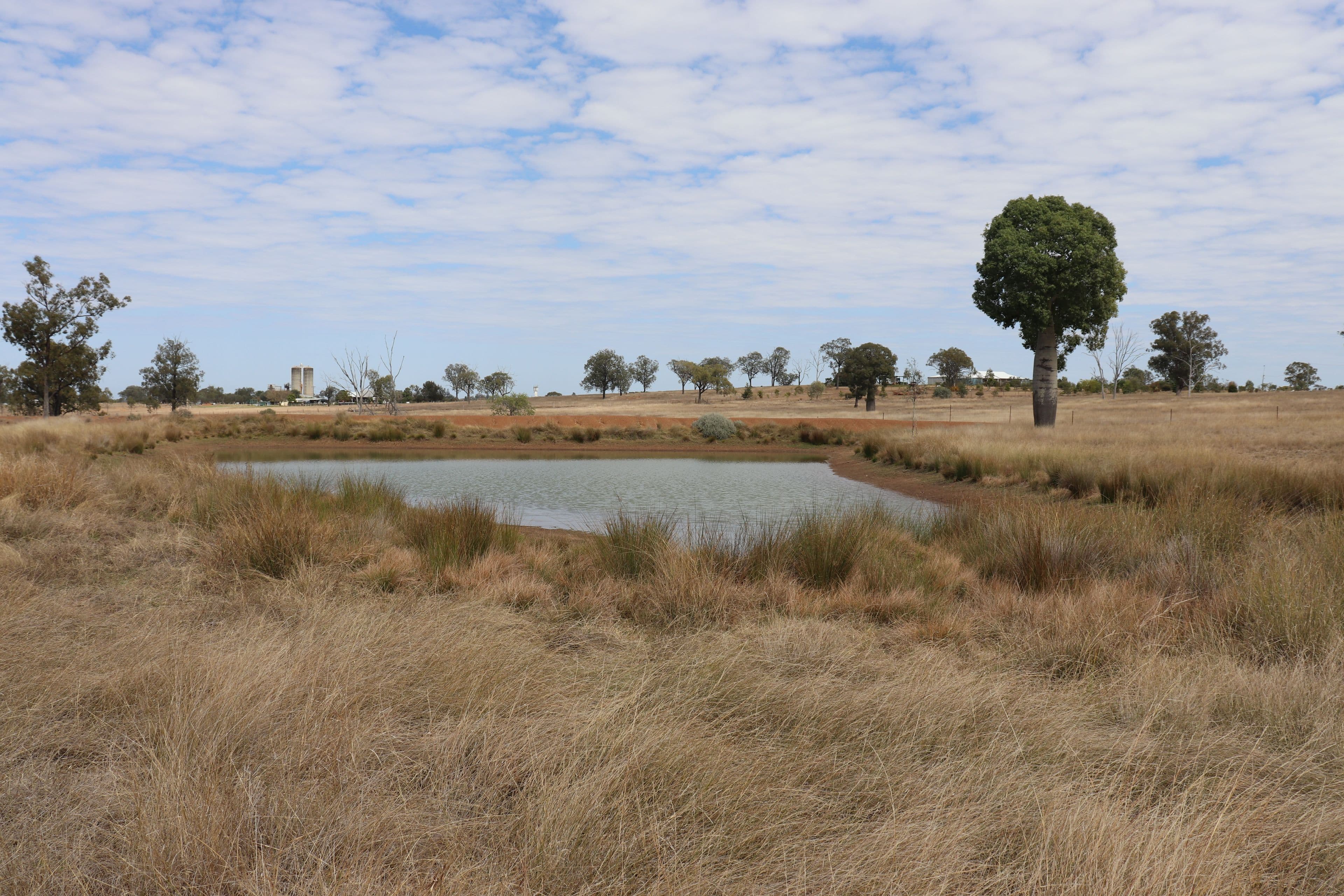 110 Benhams Road, Mundubbera QLD 4626, Mundubbera - Image 1
