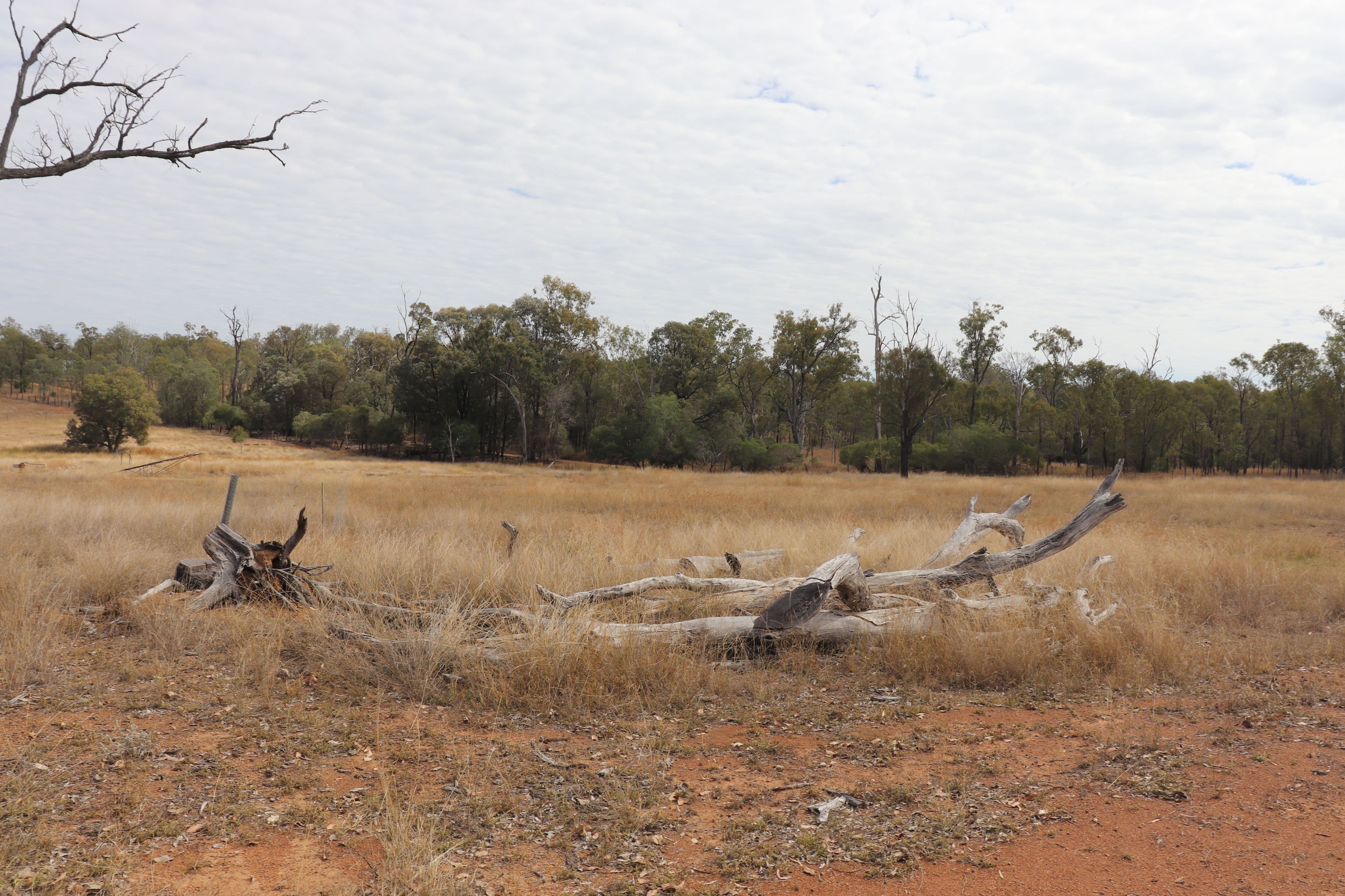 110 Benhams Road, Mundubbera QLD 4626, Mundubbera - Thumbnail 5