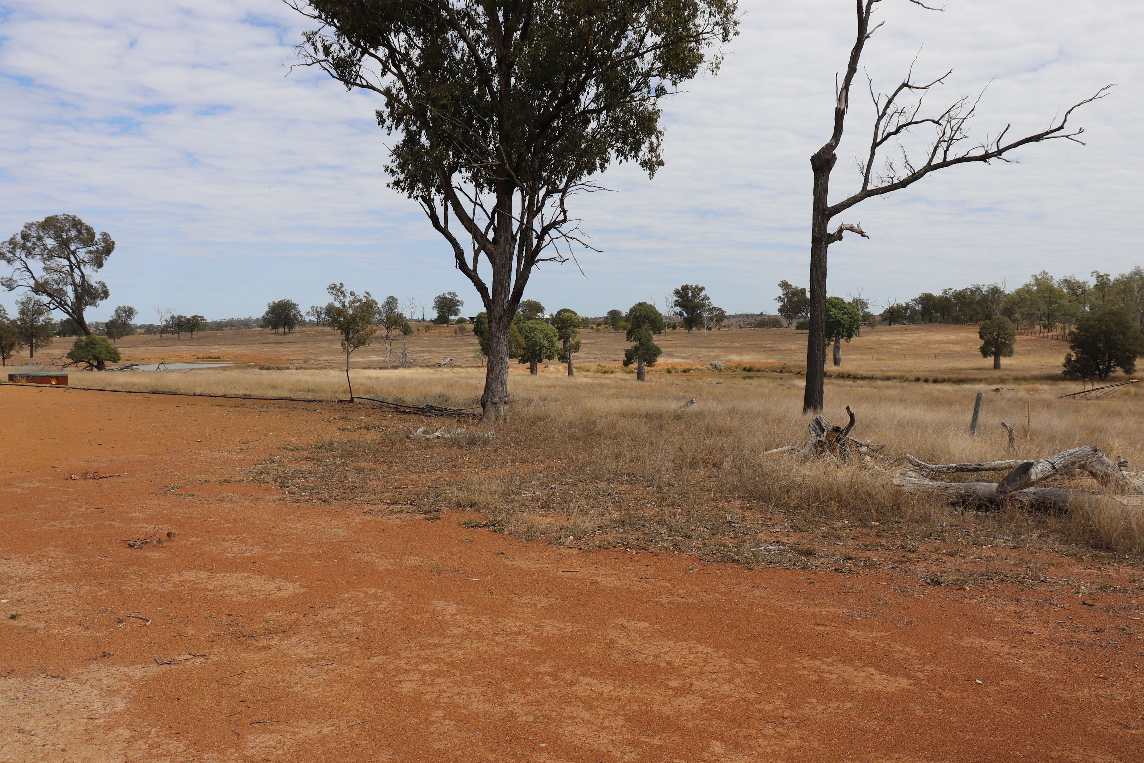 110 Benhams Road, Mundubbera QLD 4626, Mundubbera - Thumbnail 7