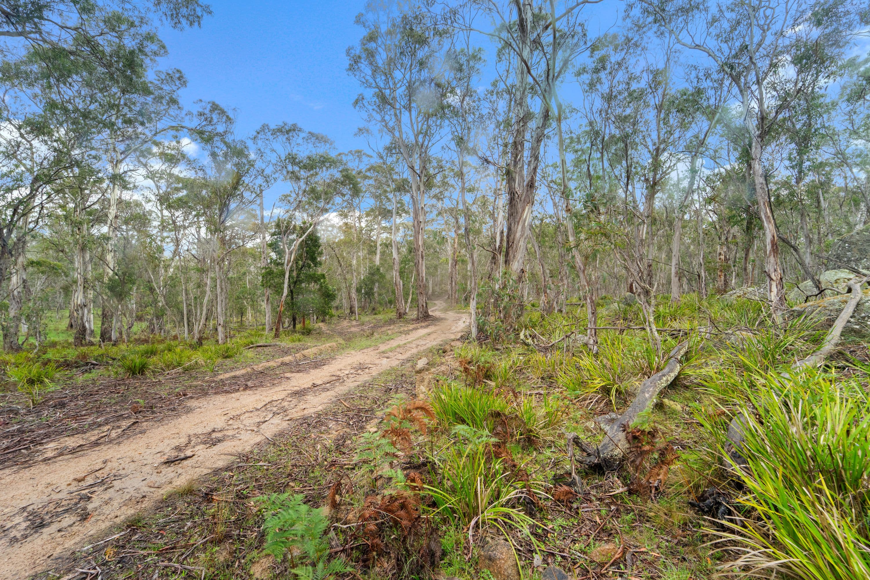 1409 New Line Road, Glen Allen NSW 2631, Glen Allen - Thumbnail 8