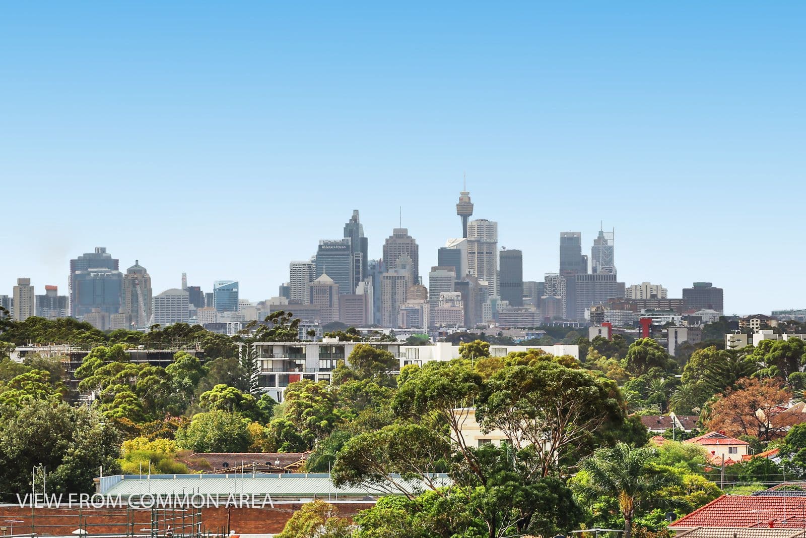 43 Wilson Street, Botany NSW 2019, Botany - Thumbnail 5