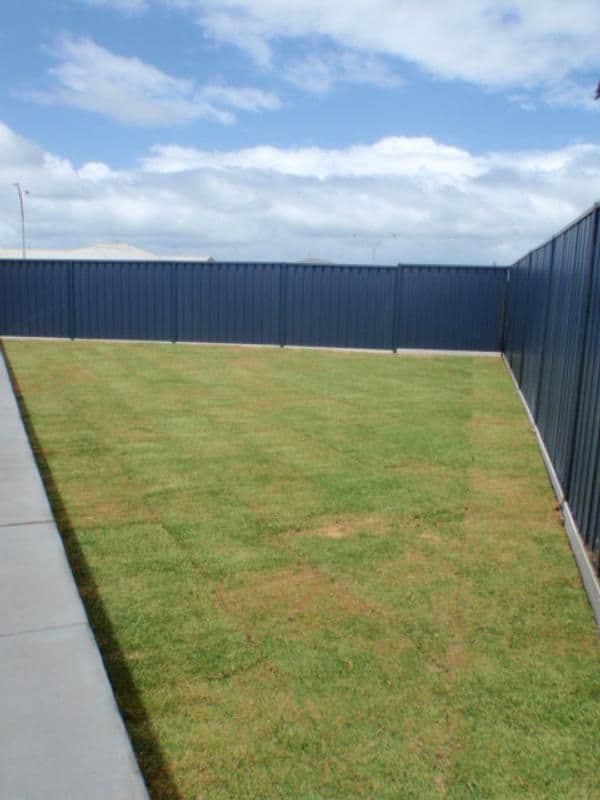 Lot 423, 38  Dryandra Boulevard, JURIEN BAY WA 6516, Jurien Bay - Thumbnail 6