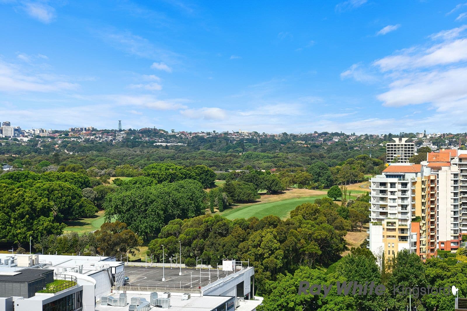 15 Gadigal Avenue, Zetland NSW 2017, Zetland - Thumbnail 6
