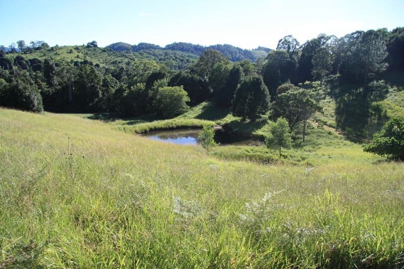 33 Sister Tree Creek Road, KIN KIN QLD 4571, Kin Kin - Thumbnail 2