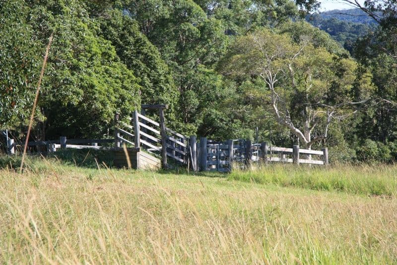 33 Sister Tree Creek Road, KIN KIN QLD 4571, Kin Kin - Thumbnail 3