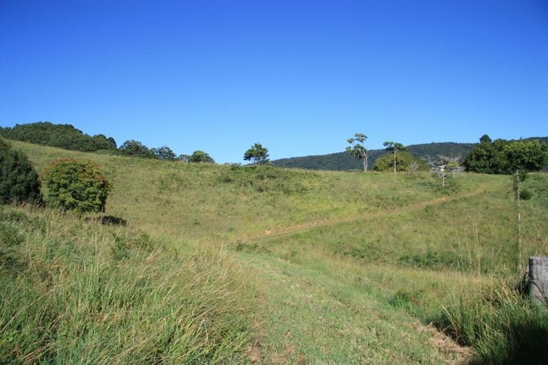 33 Sister Tree Creek Road, KIN KIN QLD 4571, Kin Kin - Thumbnail 7