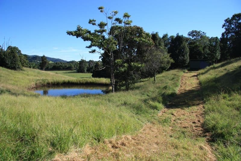 33 Sister Tree Creek Road, KIN KIN QLD 4571, Kin Kin - Thumbnail 8