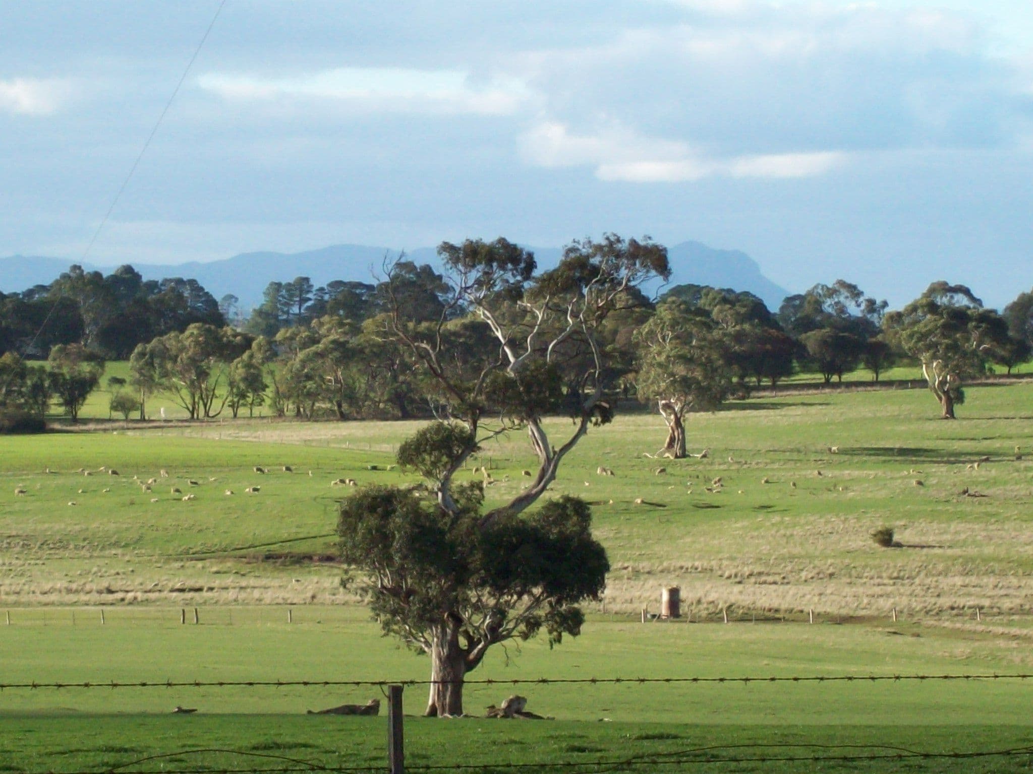 124 W. Schultz Road, HAMILTON VIC 3300, Hamilton - Thumbnail 3