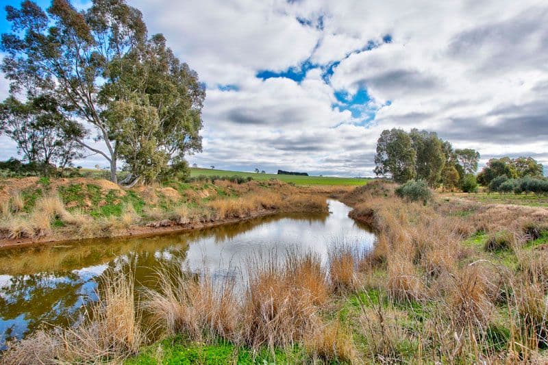 284 Macaw Creek Road, Riverton SA 5412, Riverton - Thumbnail 3