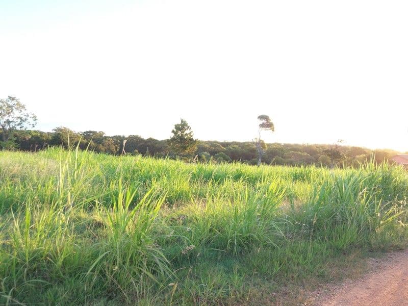 29 Highland Street, RUSSELL ISLAND QLD 4184, Russell Island - Thumbnail 3