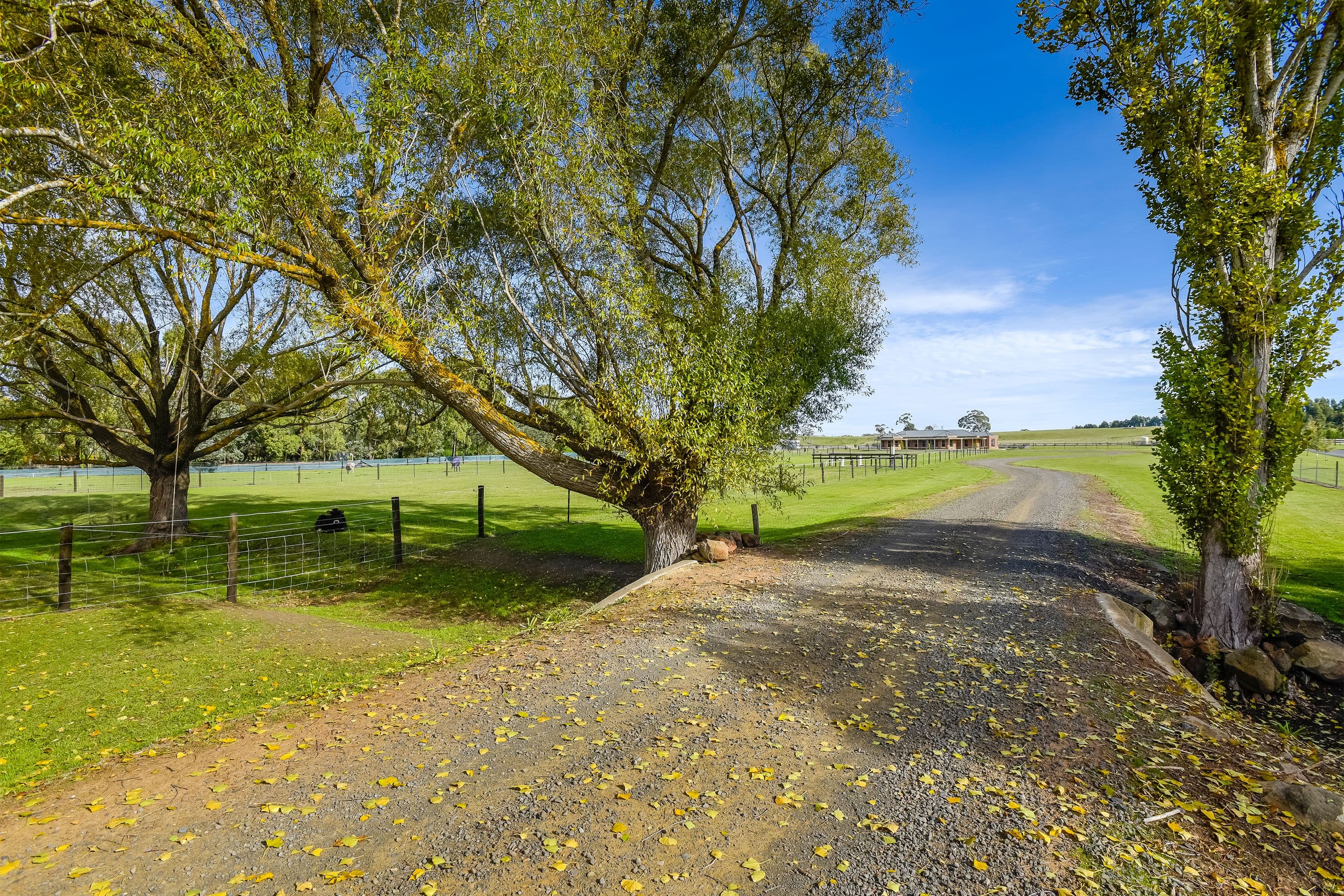 39 Campbells Court, Kyneton VIC 3444, Kyneton - Thumbnail 3