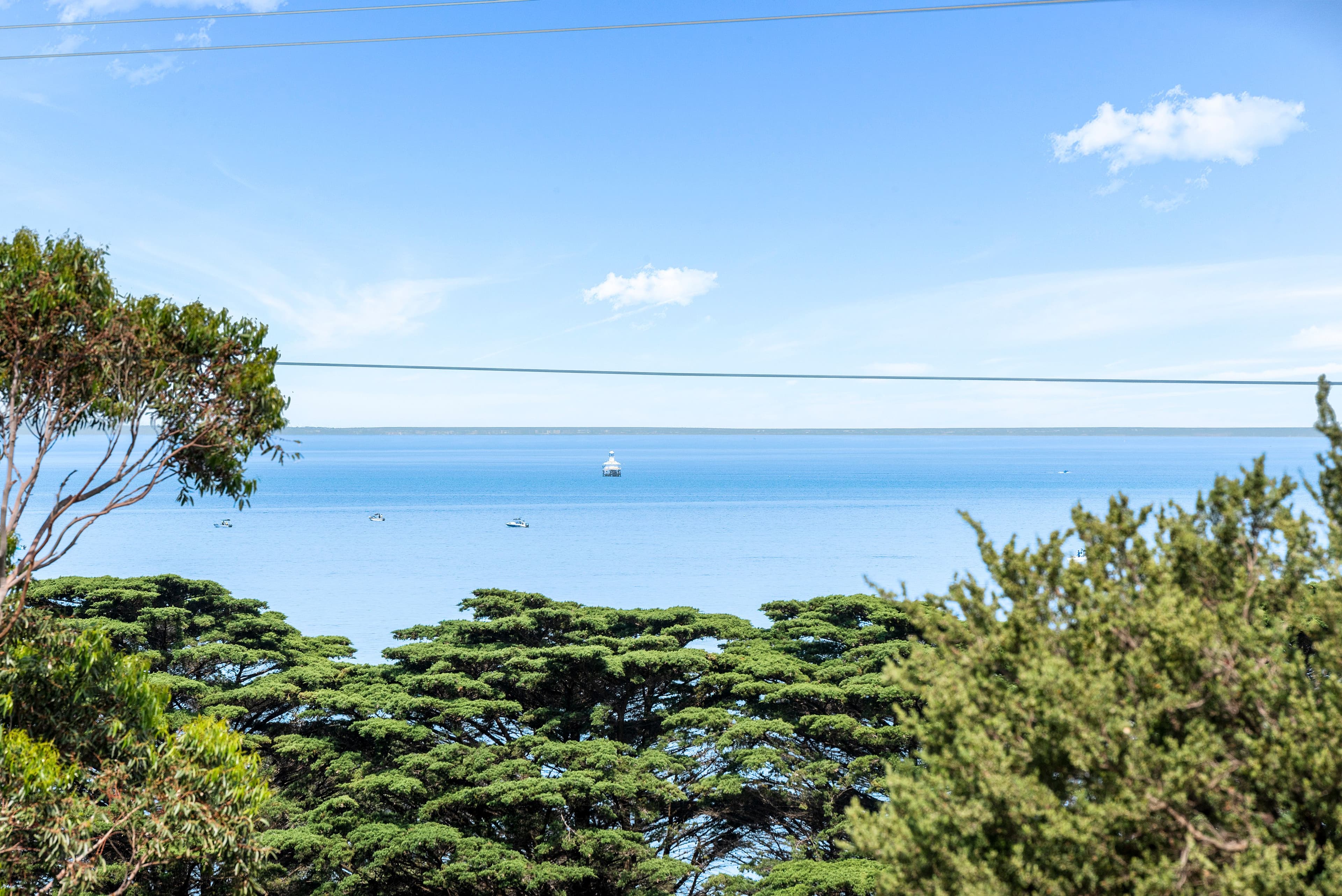 99 Bluff Road, St Leonards VIC 3223, St Leonards - Thumbnail 3