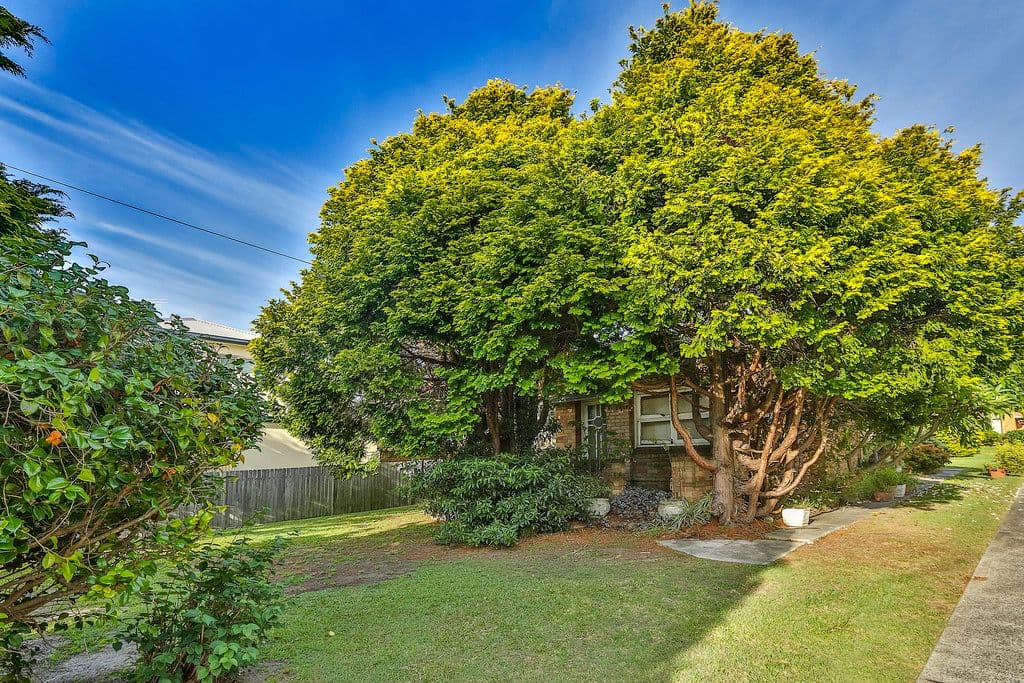 158 Alfred Street, NARRAWEENA NSW 2099, Narraweena - Thumbnail 2