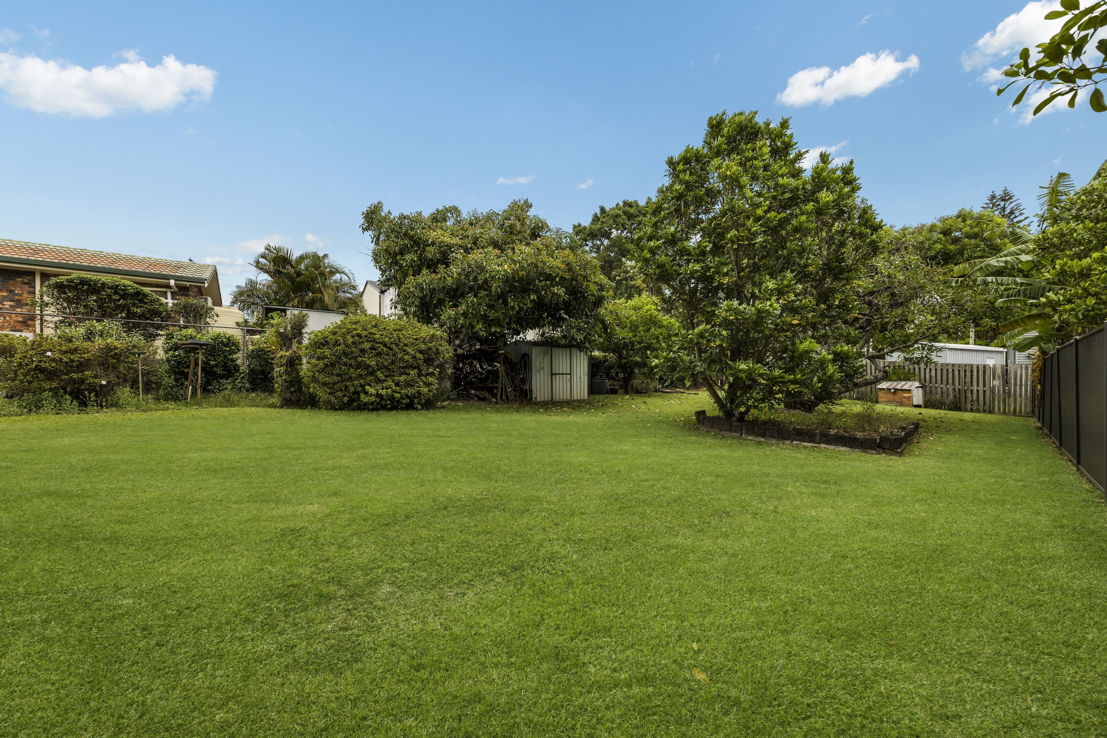 8 Henderson Street, Buderim QLD 4556, Buderim - Thumbnail 6