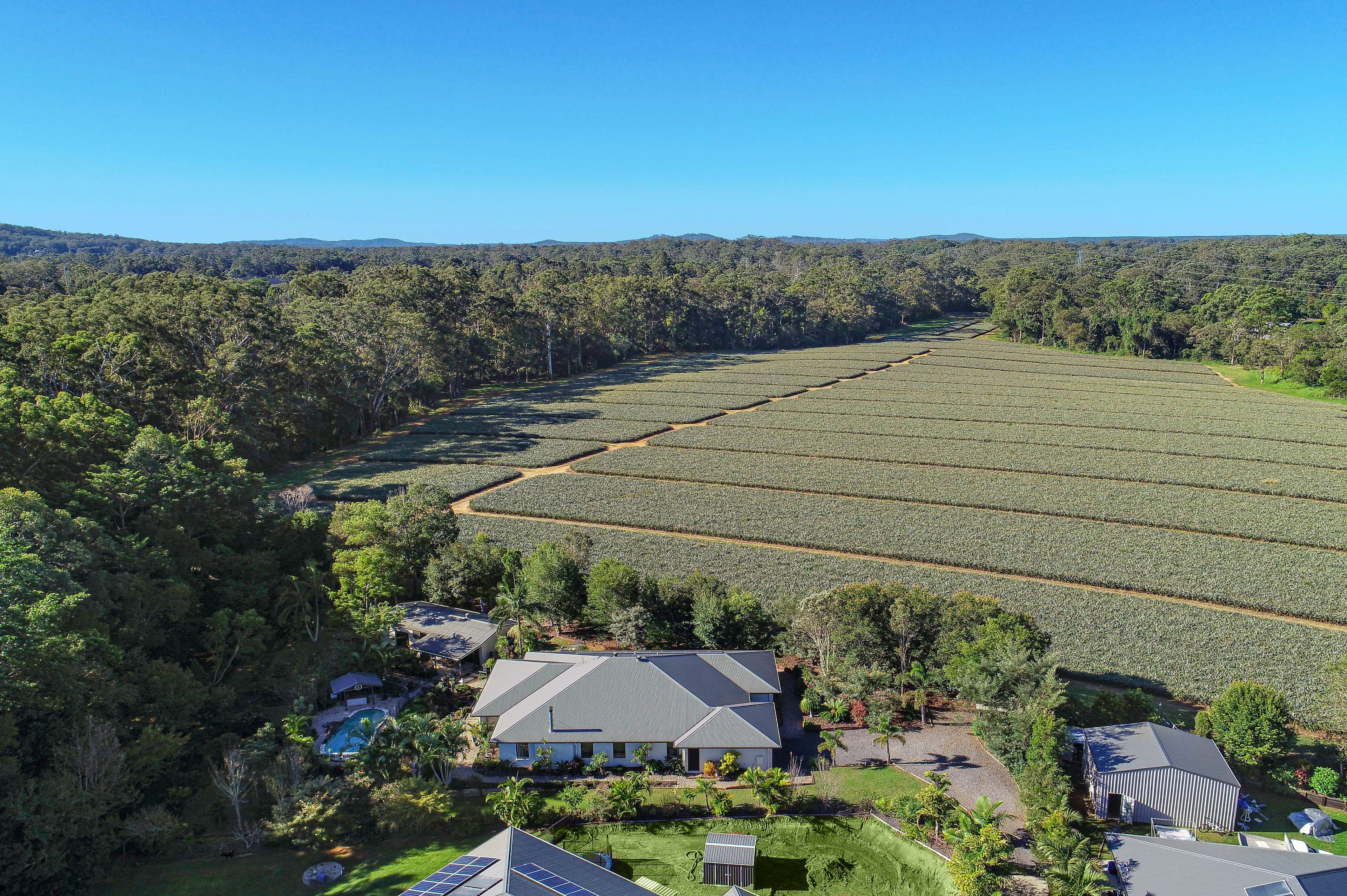 40 Otto Nothling Place, Beerwah QLD 4519, Beerwah - Thumbnail 2