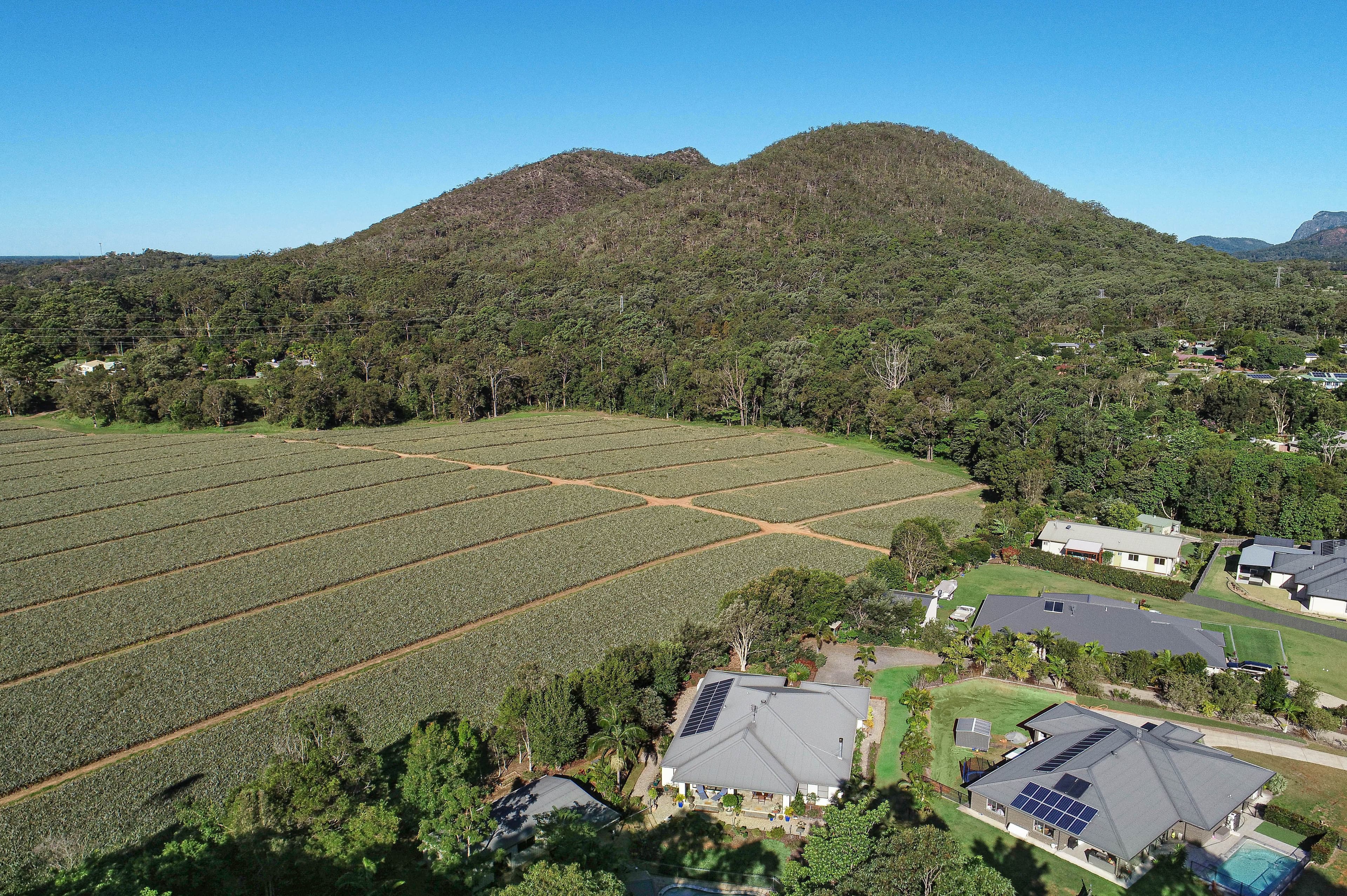 40 Otto Nothling Place, Beerwah QLD 4519, Beerwah - Thumbnail 6