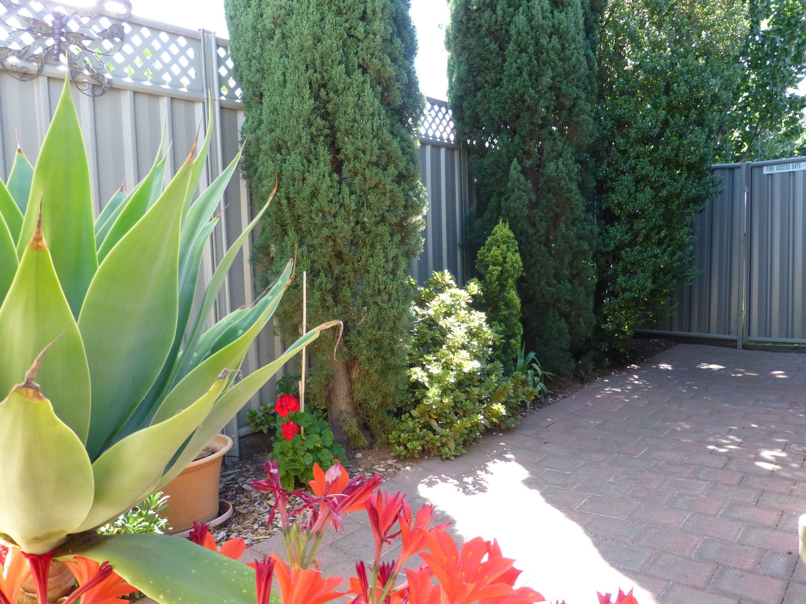Unit 9, 65-73 Northern Highway, Echuca VIC 3564, Echuca - Thumbnail 8