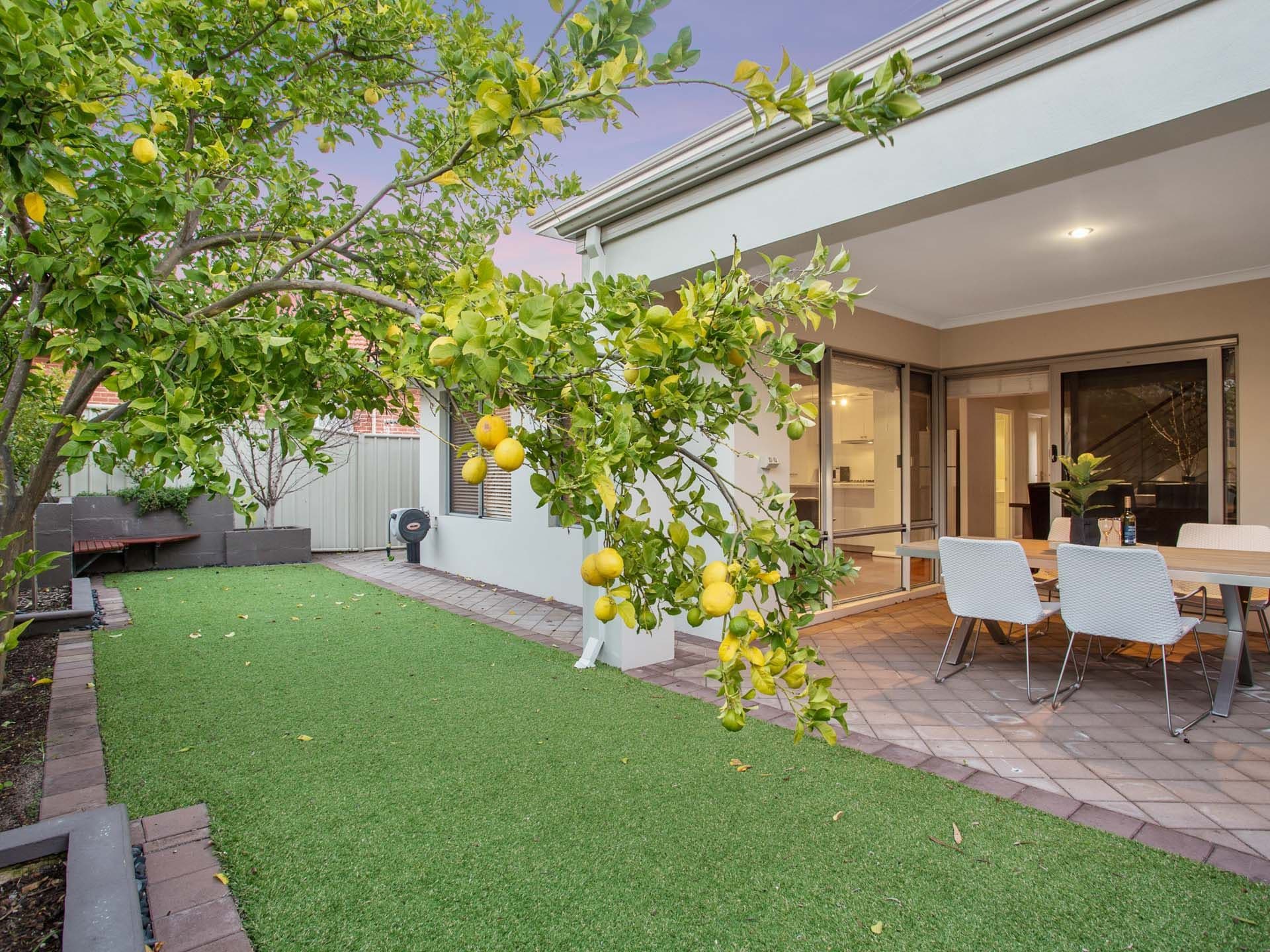 30 Latrobe Street, Yokine WA 6060, Yokine - Thumbnail 8