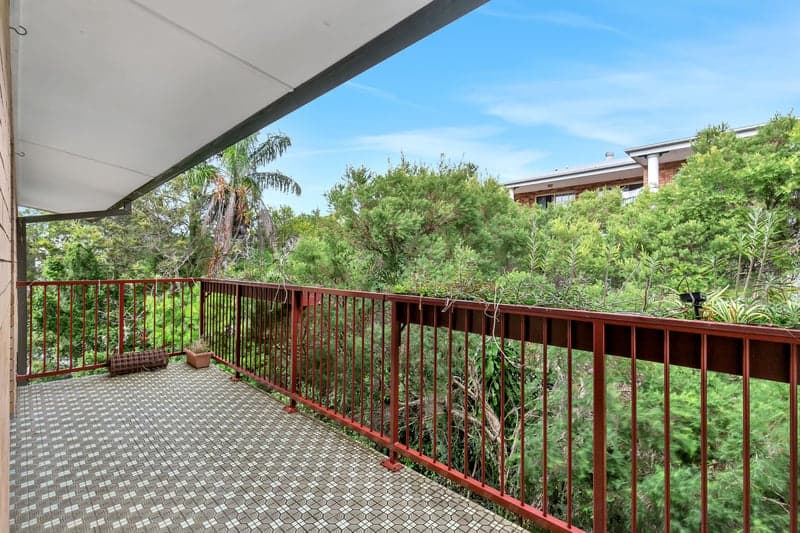 91 Whitmore Street, Taringa - Thumbnail 6