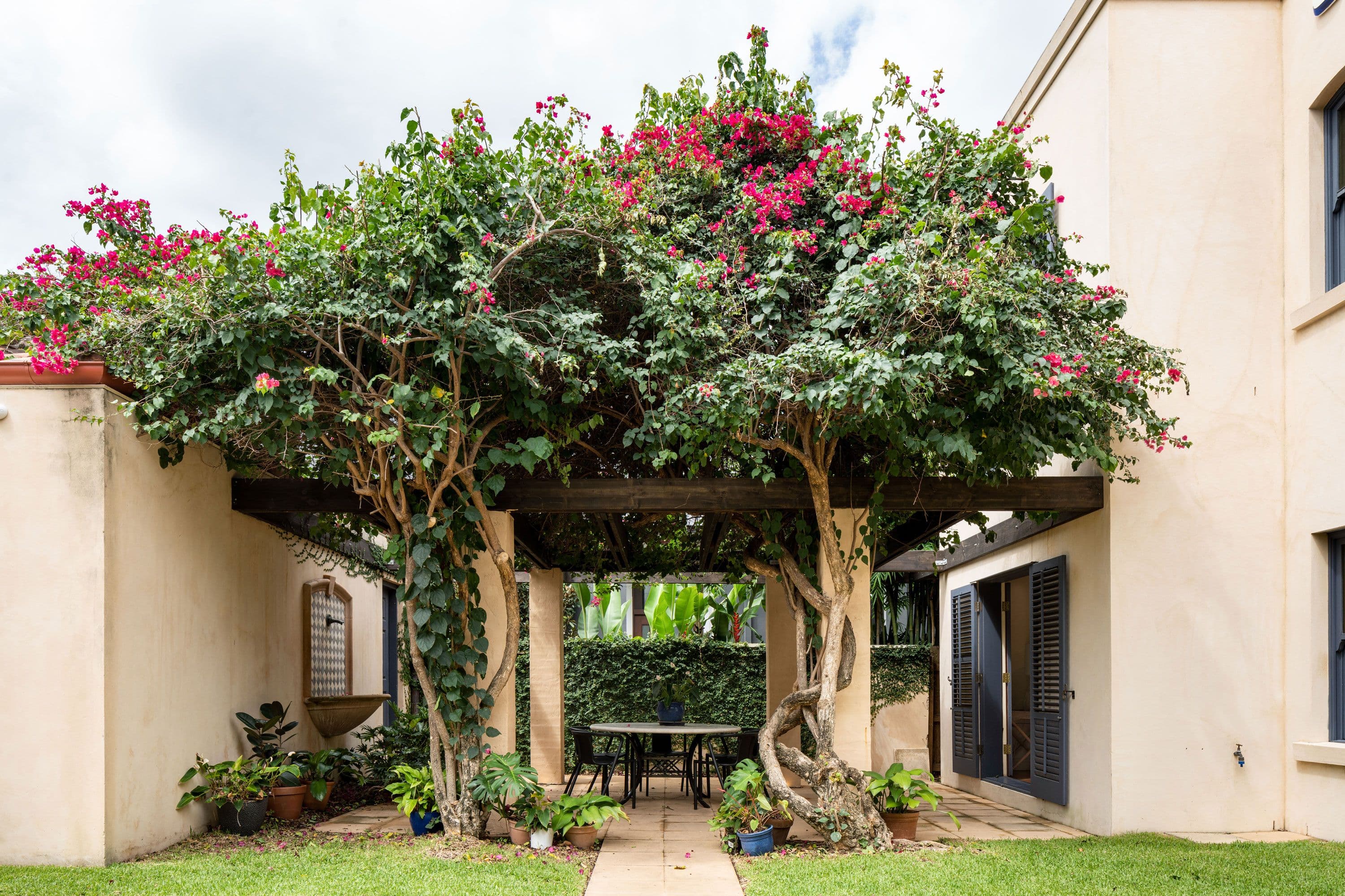 3 Cassar Street, GRACEMERE, Gracemere - Thumbnail 3