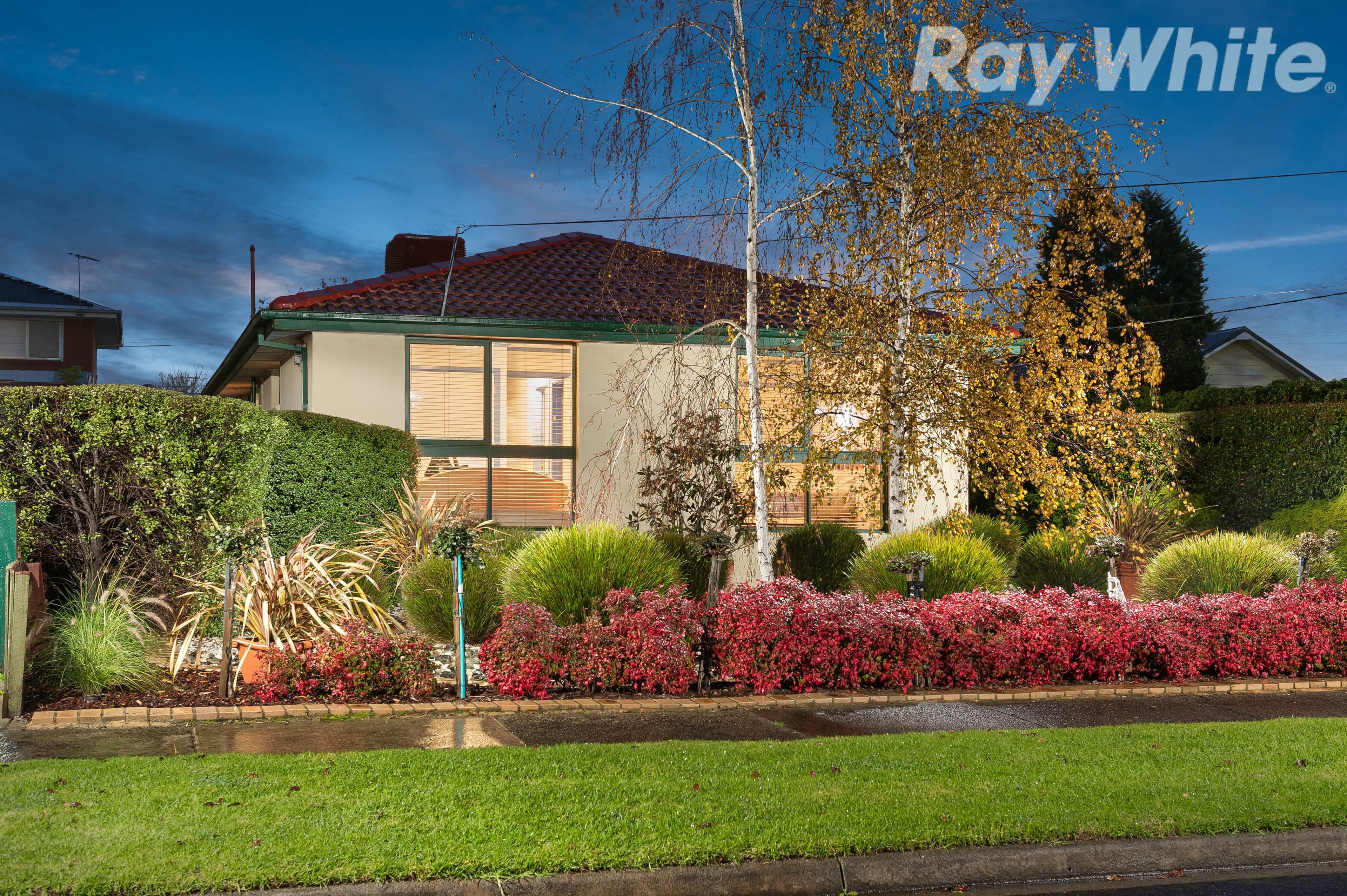 16 Walden Court, Bundoora VIC 3083, Bundoora - Image 1