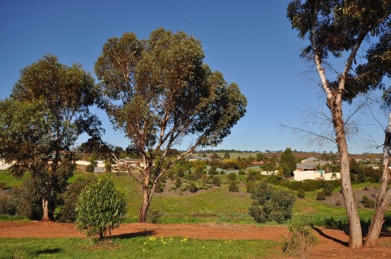 14 Christine Circuit, CRAIGMORE SA 5114, Craigmore - Thumbnail 2